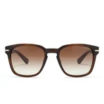 Aviator Frame with Matte Brown Finish - 1