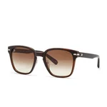 Aviator Frame with Matte Brown Finish - 2